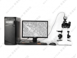 MAM3203正置金相显微镜